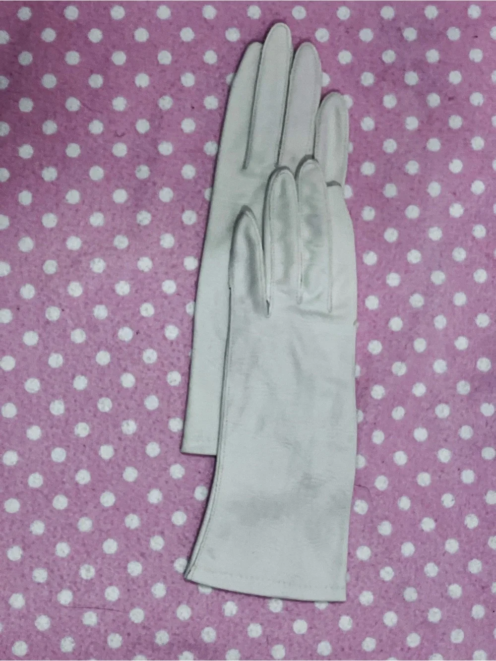 Van Ralle Vintage Nylon Gloves 6.5